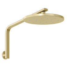 Oxley 250mm Shower Arm & Head